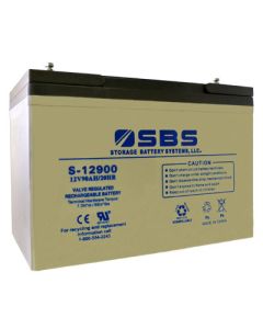 S-12900: AGM VRLA Batteries